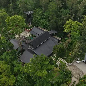 Sylvan , Wayanad India